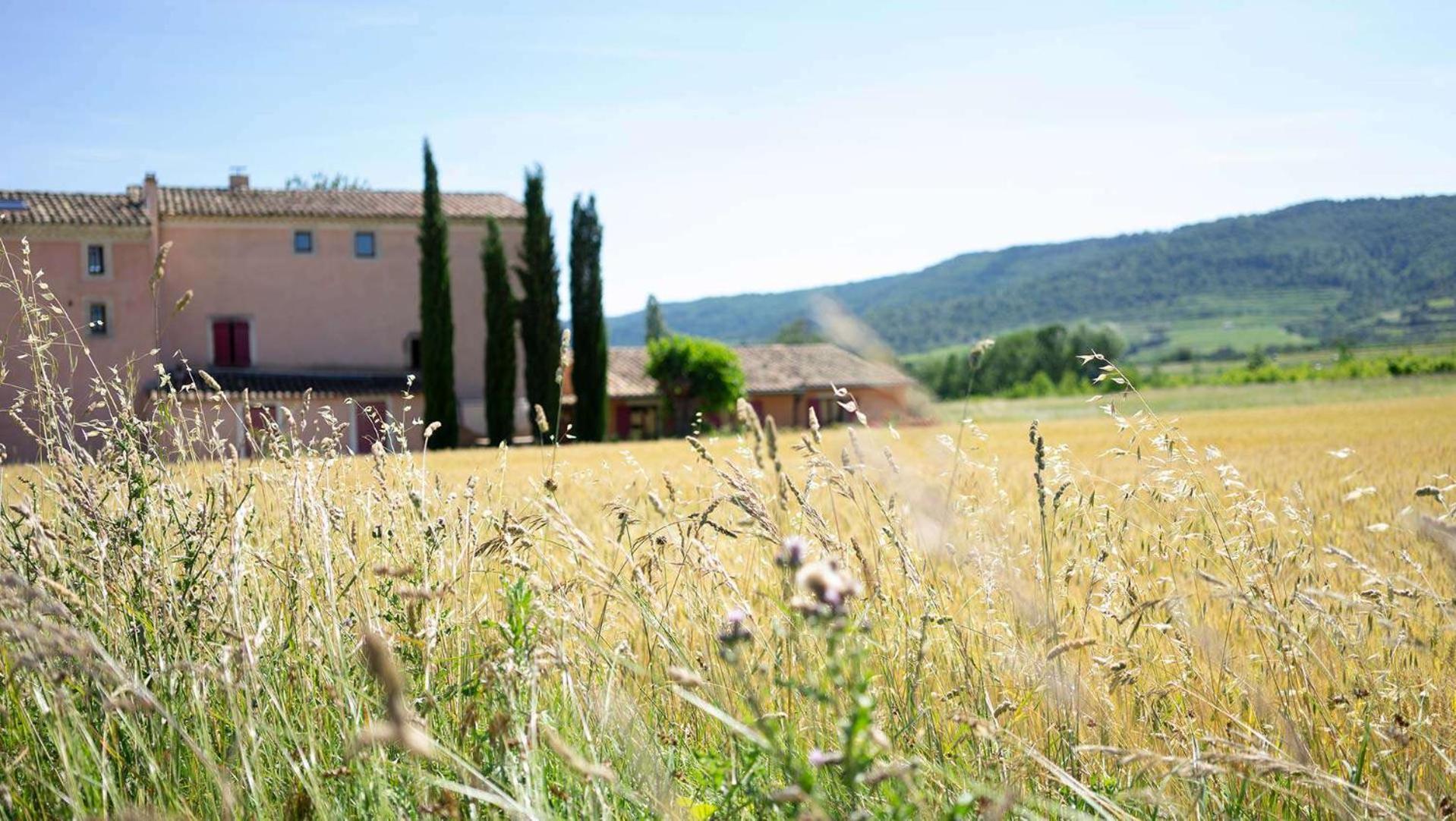 Chambres D'Hotes, B&B La Musardiere Alba-la-Romaine Εξωτερικό φωτογραφία