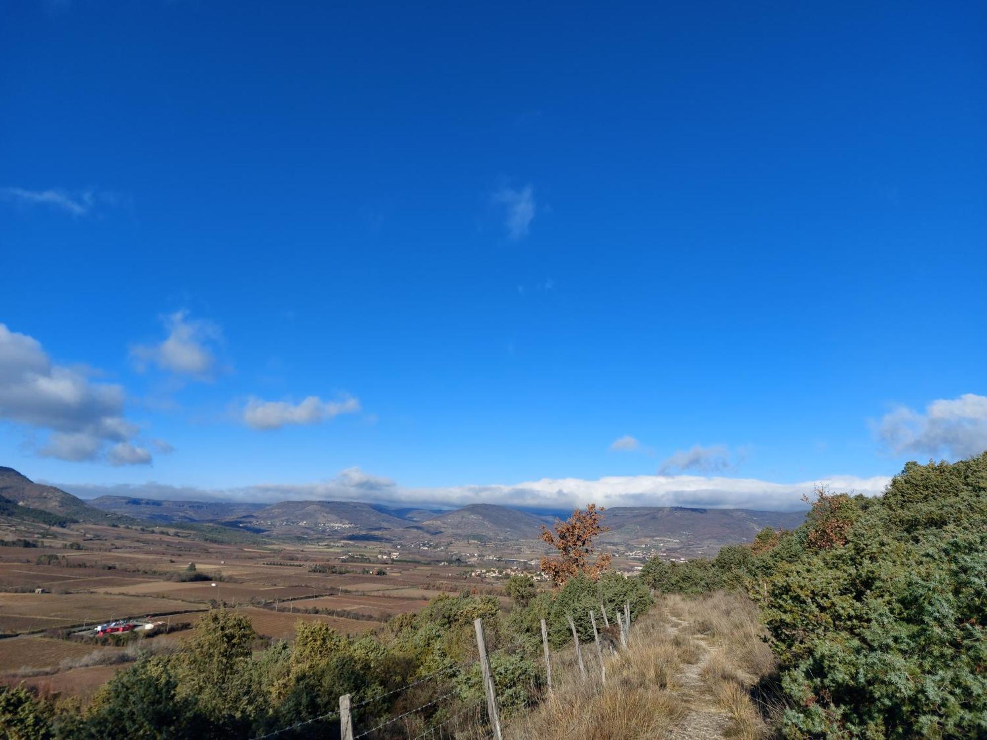 Chambres D'Hotes, B&B La Musardiere Alba-la-Romaine Εξωτερικό φωτογραφία